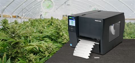 cannabis tracking with rfid|How RFID Technology Cultivates Canna.